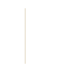 Chelle Rowan LMT and Intuitive life guide